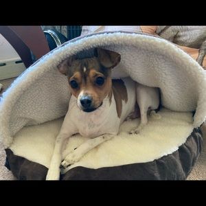 Meet your Posher, Michele